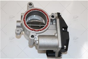 THROTTLE BODY
