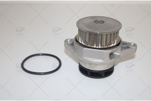 WATER PUMP + TIMING BELT KIT