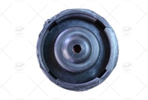 RADIATOR RESERVOIR