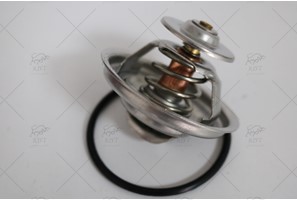COOLANT THERMOSTAT