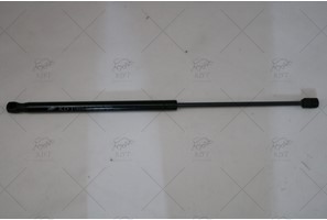 BAGAJ AMORTISORU 206