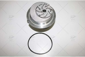 WATER PUMP + TIMING BELT KIT
