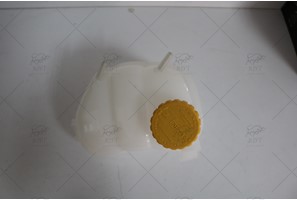 RADIATOR RESERVOIR