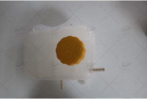 RADYATOR EK DEPOSU LACETTI