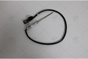 PARTICULATE PROBE