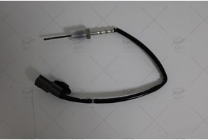 PARTICULATE PROBE